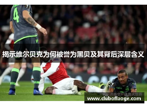 揭示维尔贝克为何被誉为黑贝及其背后深层含义 揭示维尔贝克为何被誉为黑贝及其背后深层含义