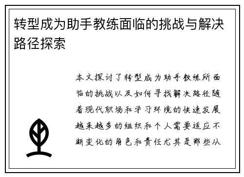 转型成为助手教练面临的挑战与解决路径探索