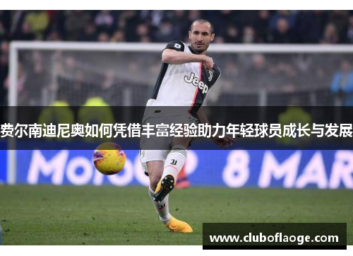 费尔南迪尼奥如何凭借丰富经验助力年轻球员成长与发展 费尔南迪尼奥如何凭借丰富经验助力年轻球员成长与发展