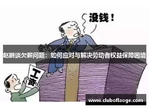 赵鹏谈欠薪问题:如何应对与解决劳动者权益保障困境 赵鹏谈欠薪问题:如何应对与解决劳动者权益保障困境